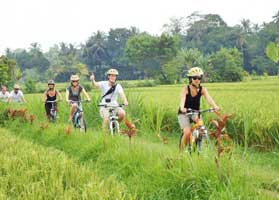 Bali Island Cycling Tour