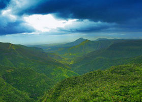 Black River Gorges National Park