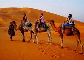 Camel Trekking 