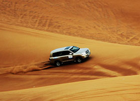 Dubai Desert Safari