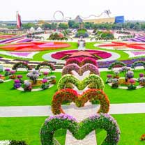 Dubai Miracle Garden