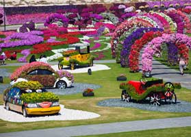 Dubai Miracle Garden