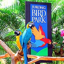 Jurong Bird Park