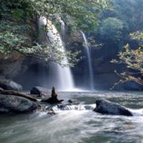 Khao Yai National Park