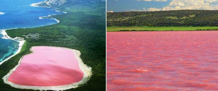 lake-hillier-in-australia