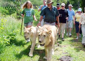 Mauritius Safari and Bird Park 