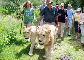 Mauritius Safari and Bird Park 