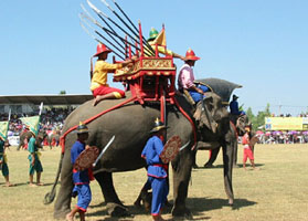 Surin Elephant Round-up