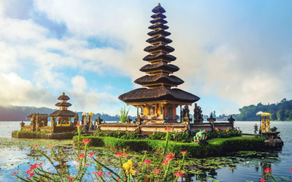 bali tour